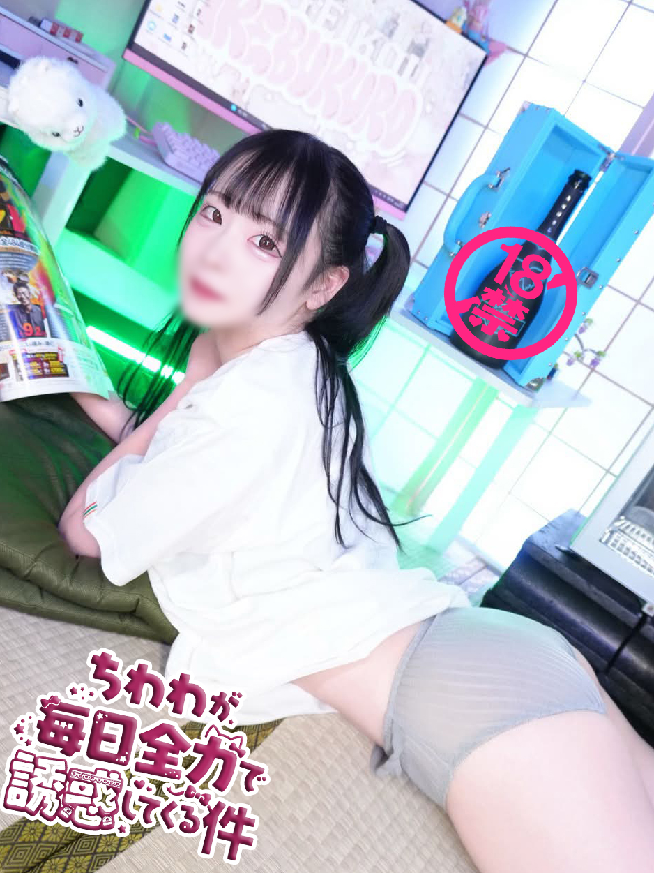 ちわわ1
